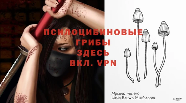 меф VHQ Гусев